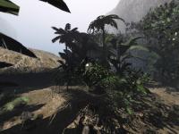 Haz click en la imagen para agrandarla Es casi como si estuviésemos inmersos en plena jungla tropical, con los sonidos de la fauna local